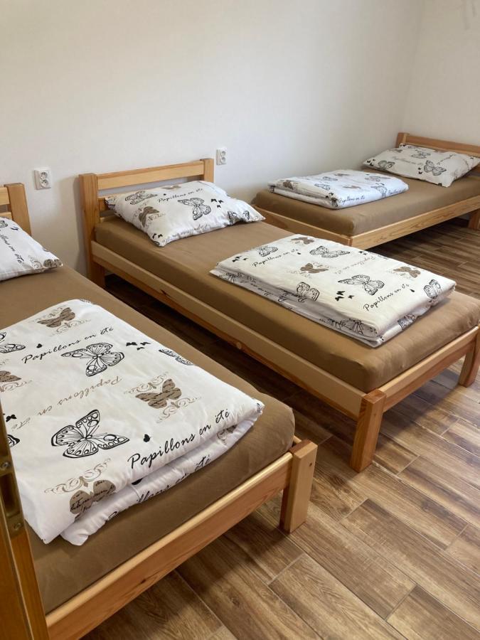 Ubytovani Smudla ズノイモ エクステリア 写真