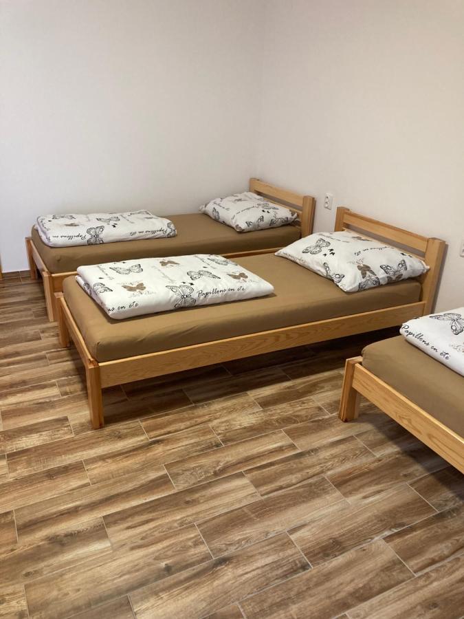 Ubytovani Smudla ズノイモ エクステリア 写真